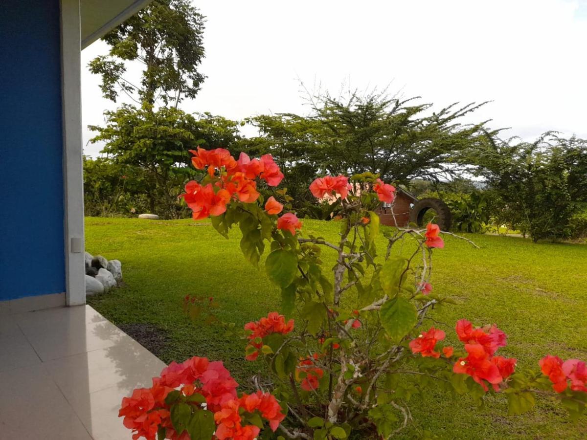 Casa De Campo Heliconia La Fortuna Exterior photo